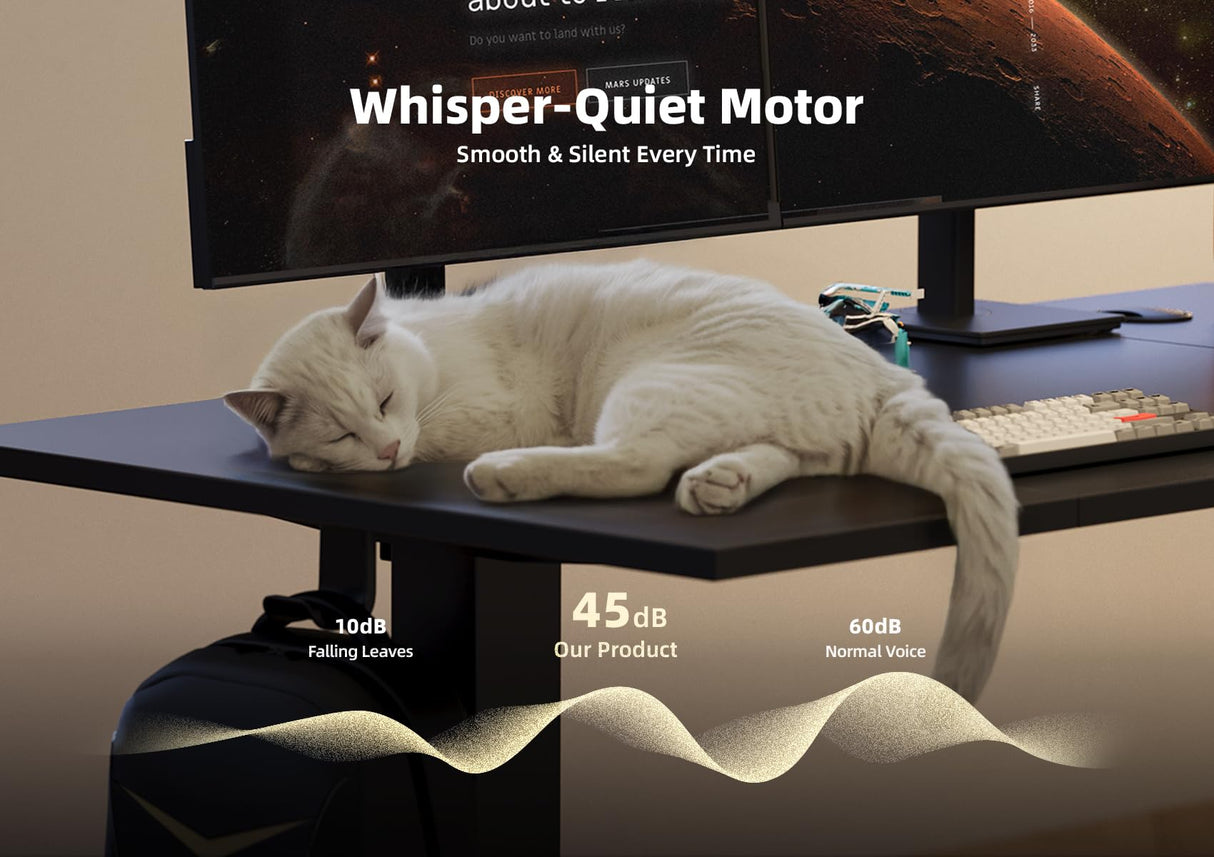 Seang Electric Standing Desk Adjustable Height, 40 x 24 Inch Sit Stand Desk with T-Shaped Frame, 3 Memory Presets & Cable Management for Home Office Computer Workstation, Black Frame/Black Top Seang