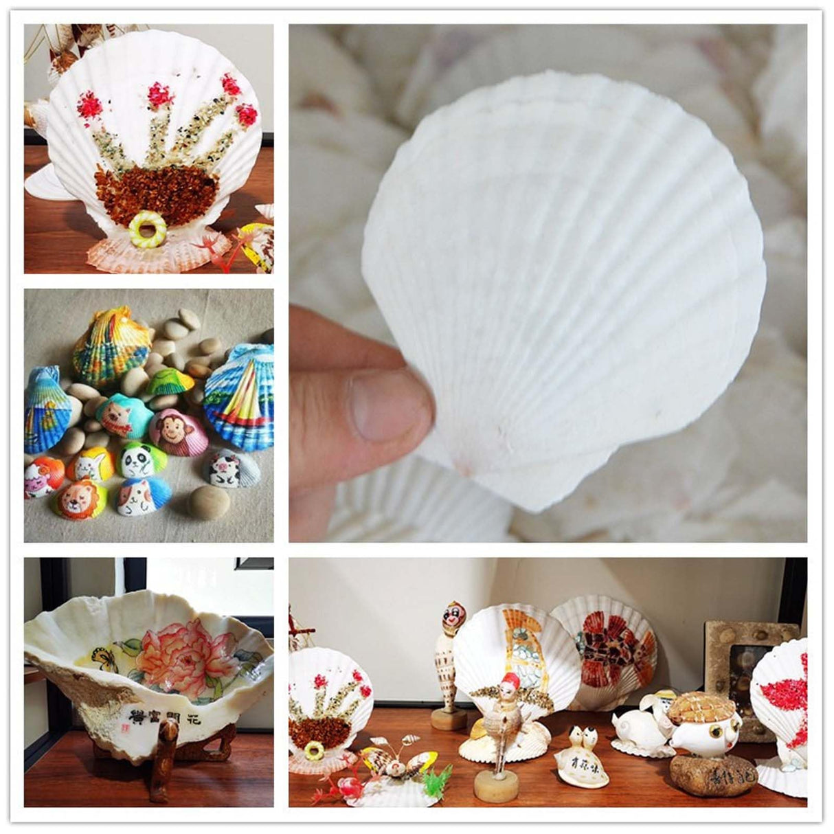 Allazone 58 PCS Shell Painting Kit, Art and Craft Kits, DIY Painting Crafts Set Included Sea Shell, Brushes, Stickers, Eyes, Glitter Glue for Activities DIY or Home Decor Allazone