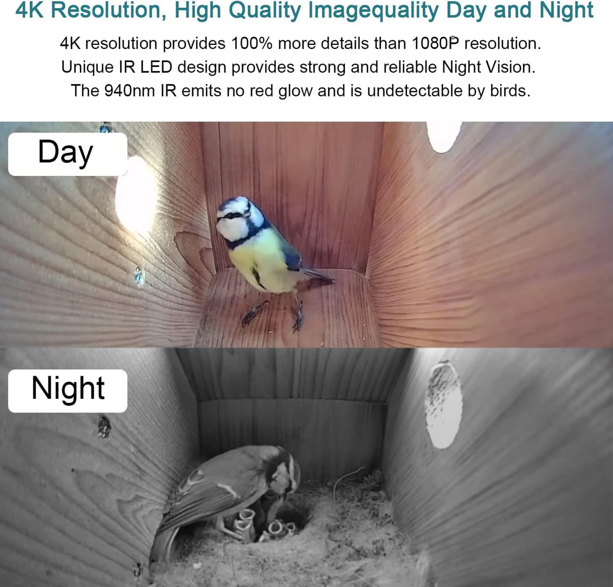 WIWACAM WiFi Bird Box Camera, 4K HD Snapshot 2K Video, Designed for Birdhouse birdhouses, for Robins Wrens Tree Swallows, Live Video to Phone, Easy Install, Night Mode, microSD Card Slot WIWACAM