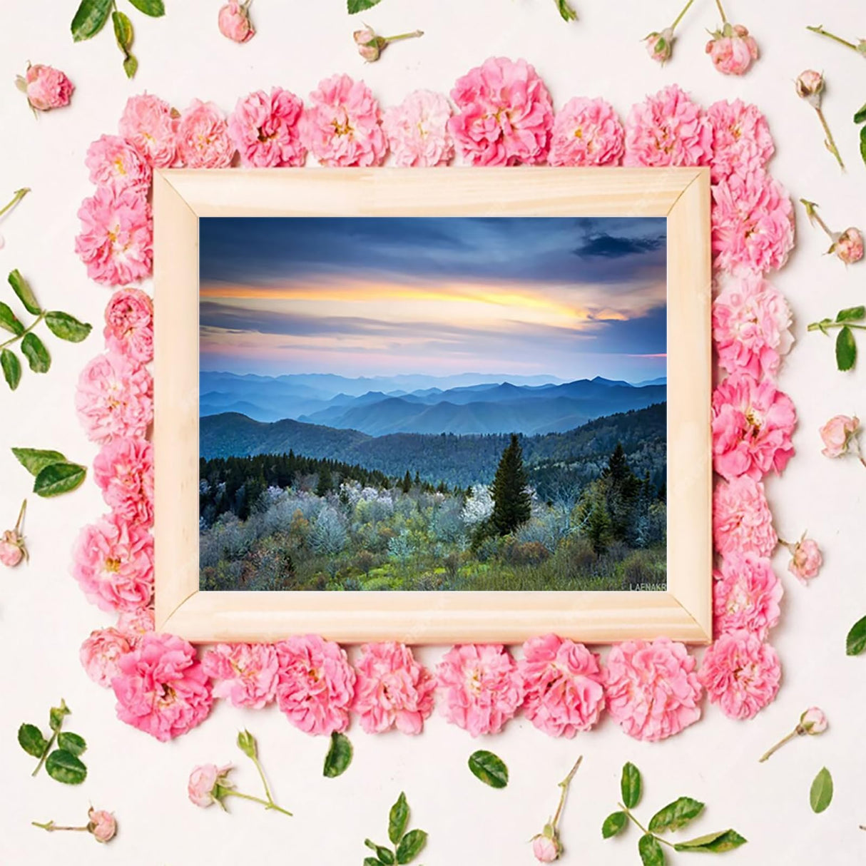 DIY Digital Acrylic Painting Set Scenic Blue Ridge Park Way Appalachians Smoky Mountains Spring Paint by Numbers on Canvas Without Frame for Adult Beginner Children Art Craft Wall Decor 16x20in LAENAKR