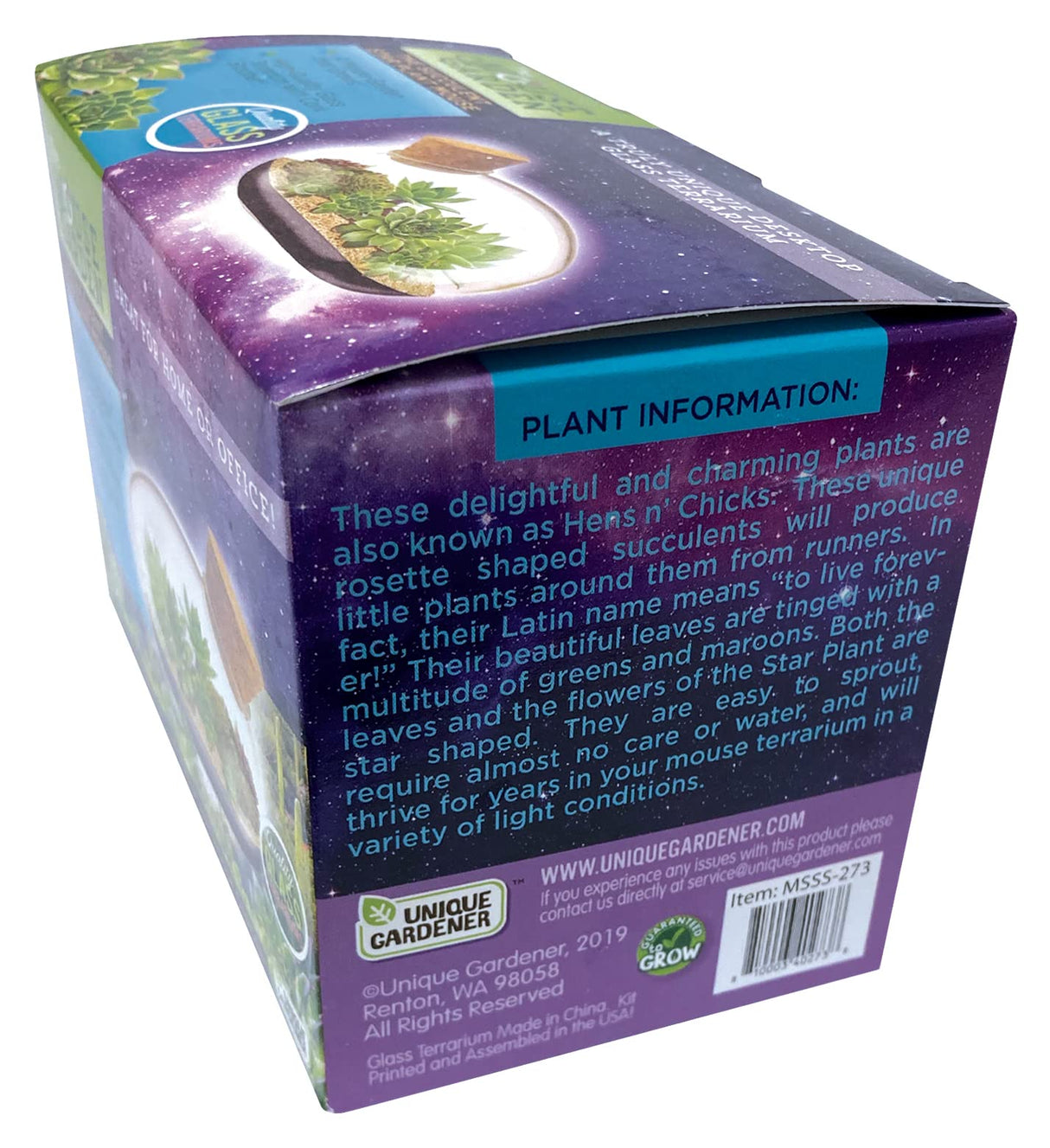 Grow Your Own Succulent Star Plant Mouse with Our Glass Terrarium Starter Kit - Fun and Easy to Grow with Complete Supplies - Plant A Mouse Garden That Will Last for Years - Great for Home Or Office Unique Gardener