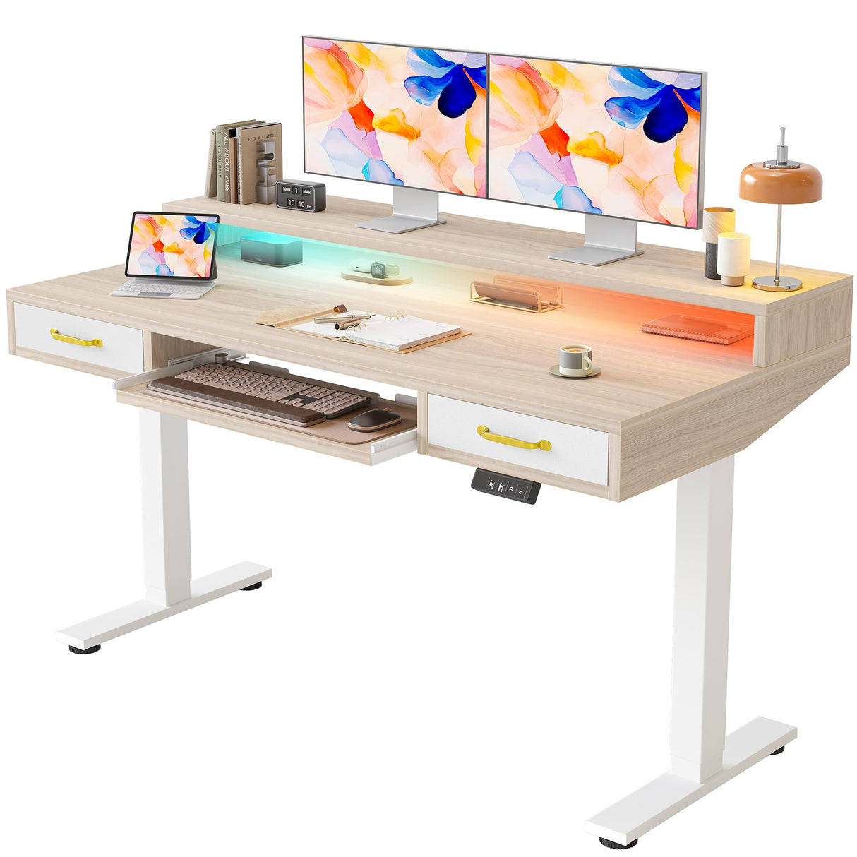 TIQLAB 55 x 28 Inch Height Adjustable Electric Standing Desk with Double Drawers&Keyboard Tray, Stand Up Desk with LED Strips&Monitor Stand, Light Walnut TIQLAB