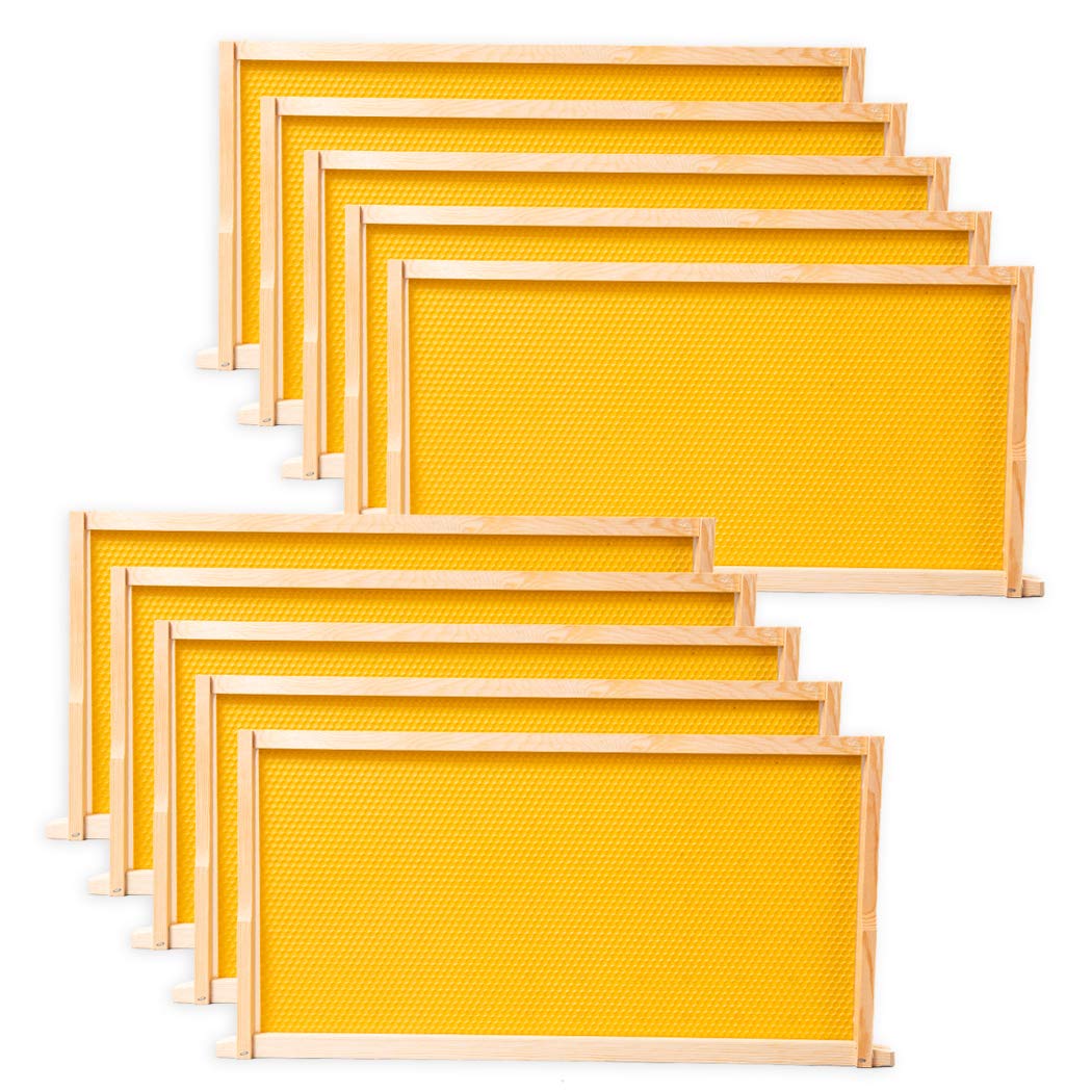 BeeCastle 10 Pack Beehive Frames and Wax Foundations for Deep Brood Bee Hives with Wooden Bee Hive Frames and 100% Beeswax Coated Foundations, 9-1/8-Inch (Yellow) BeeCastle