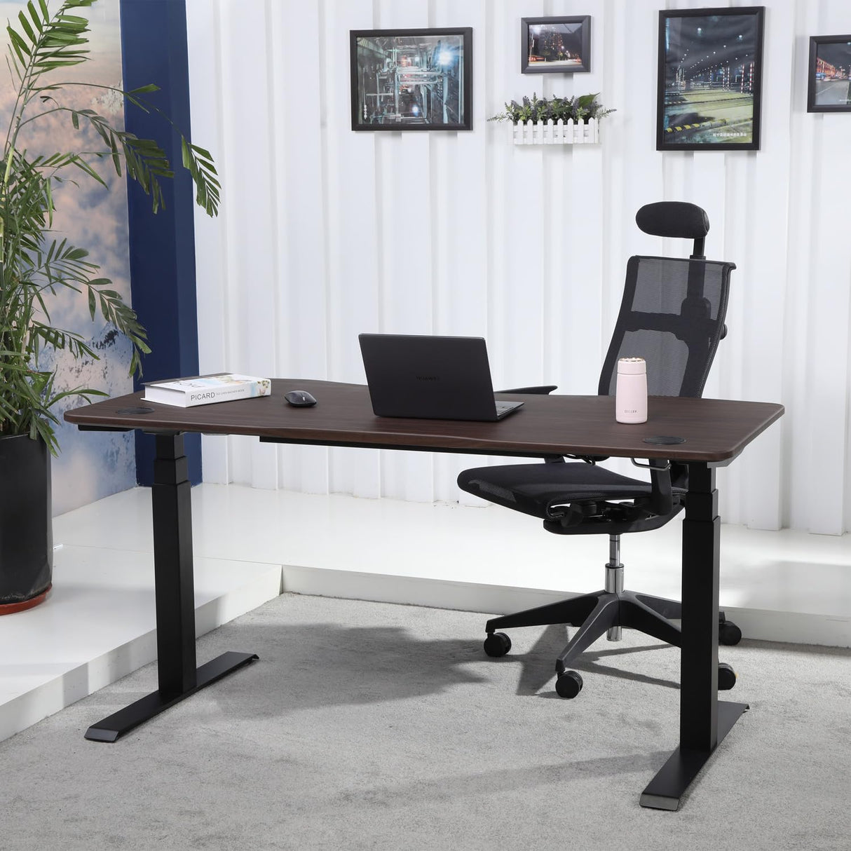 ApexDesk K Series 71" Height Adjustable Standing Desk with Memory Controller, Walnut ApexDesk