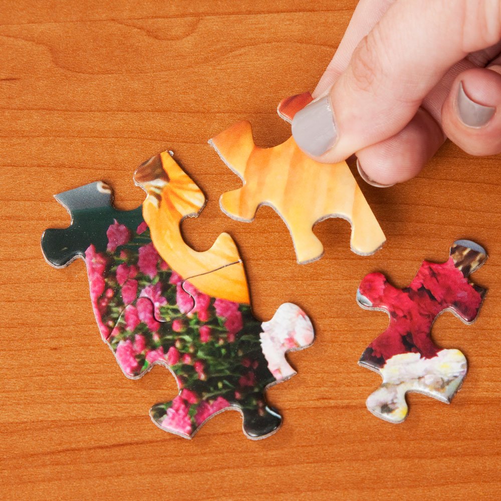 Bits and Pieces – 300 Piece Jigsaw Puzzle for Adults – an Evening with Friends - Horse Cats Dogs Barn Cold Winter Night Pine Trees Snow Farm Animal Jigsaw Puzzle by Artist Kathy Goff Bits and Pieces