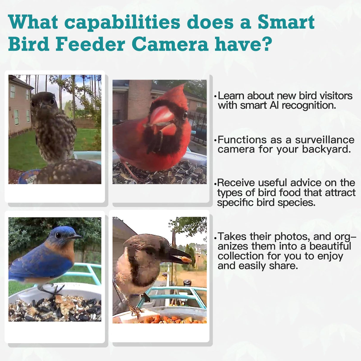 DELOTA Bird Feeder with Camera, Smart Bird Feeder Camera with Ai dentify Bird Species, Auto Video Bird Feeder Camera Live Motion Activated, Bird Feeder with Camera for Outdoor (Green) DELOTA