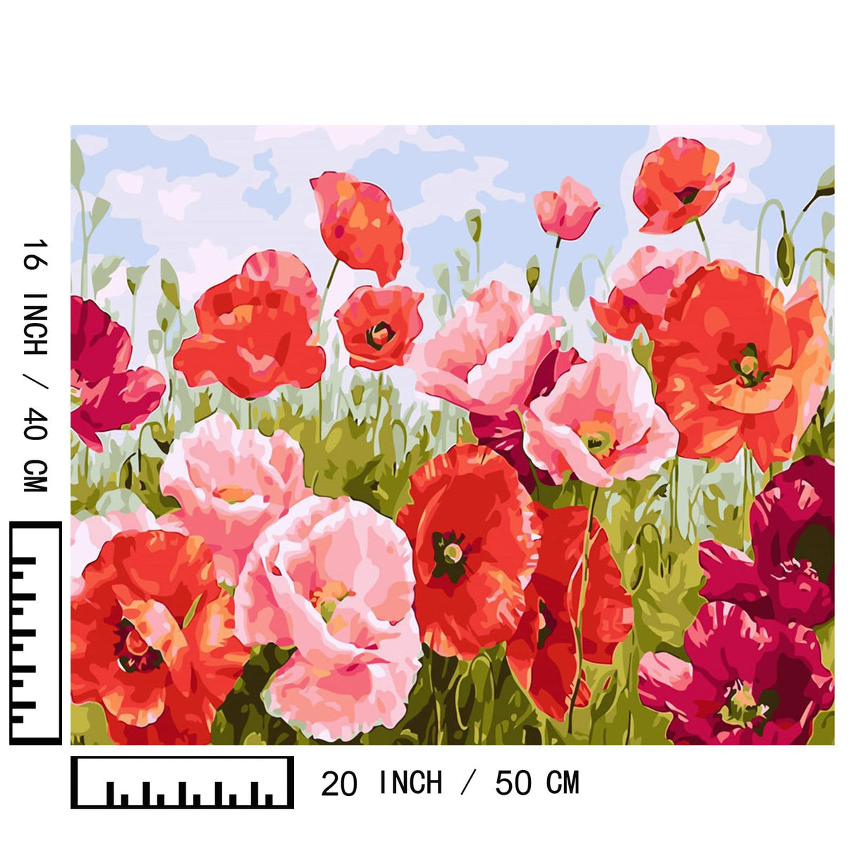 BAISITE Paint by Numbers Kit for Adults Beginners,20" Wx16 L Canvas for Painting Kits for Adults in Colorful Box Poppy Flowers-BSC001 BAISITE
