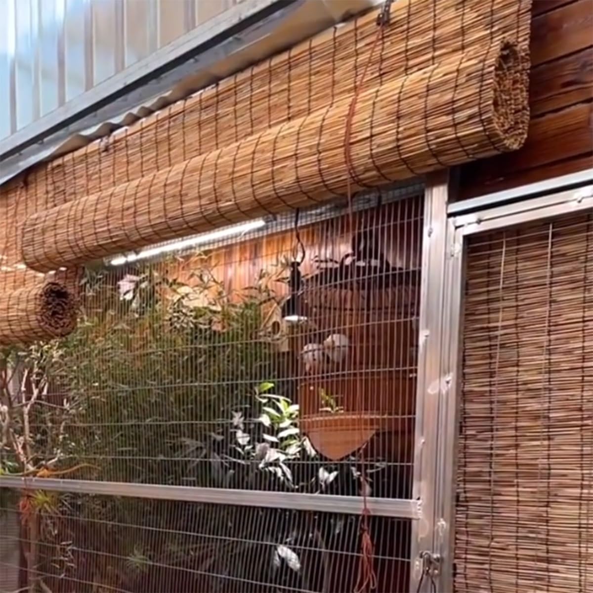 Made Natural Bamboo Roller Blinds Cordless Bamboo Blinds 25" 26" 27" 28" 31" 32" 33" 34" 35" 36" 40" 41" 42" 43" 44" 45" 46" 47" 49" 50" 56" 57" 72" Retro Outdoor Bamboo Shades for patios(Size:28" W x Generic