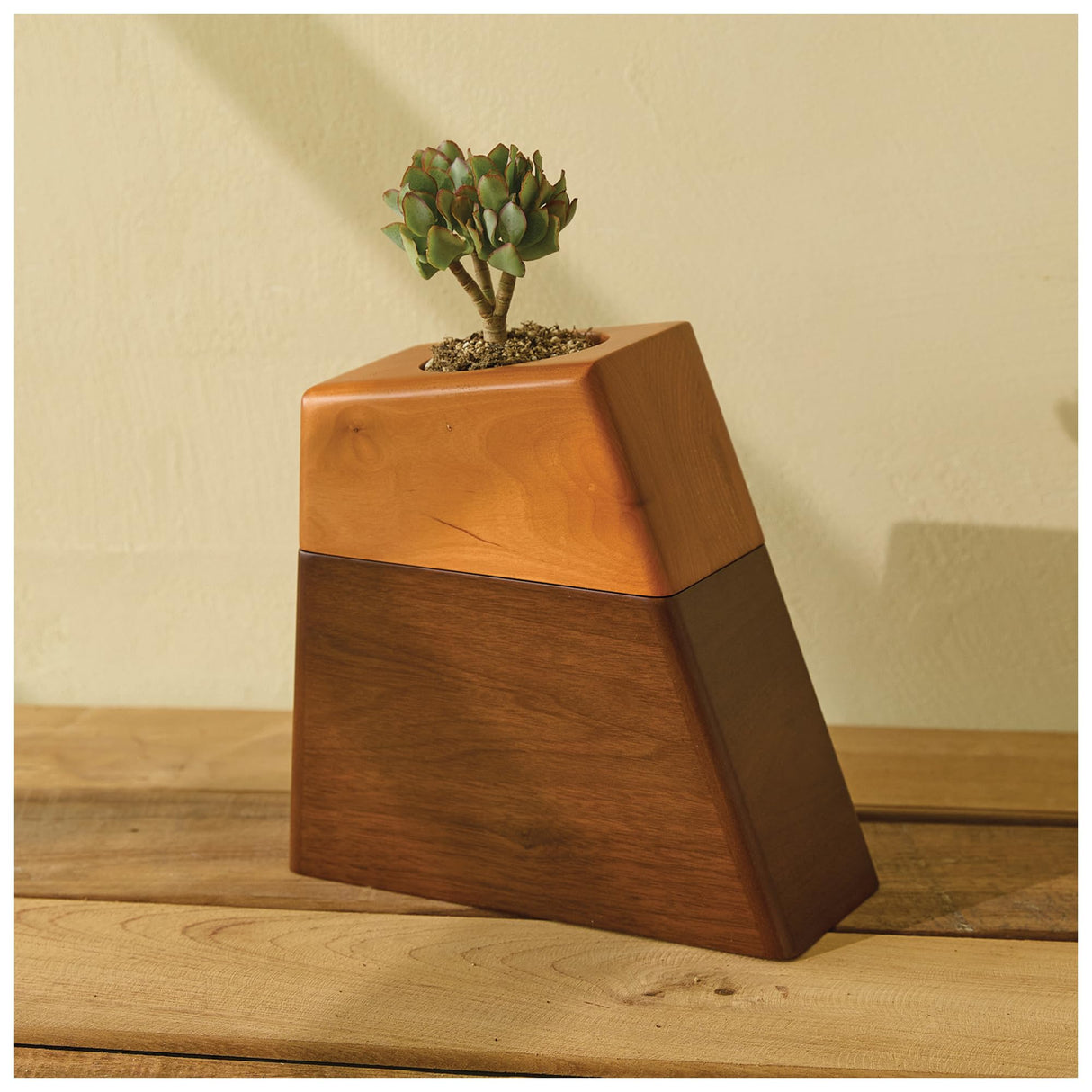 AspenStudio Plant Urn with Ceramic Pot with Magnetic Joint Solid Wooden Urn for Adult Human Ash Cremation Funeral Handcrafted Wood Urn Decorative Urn Large Urn Interior Aspen Studio