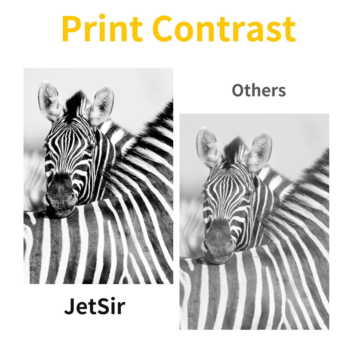 JETSIR 4 Color Compatible Refill Ink kit for Canon 250 251 270 271 280 281 PG240 CL241 PG245 CL246 PG210 CL211 1200 2200 Inkjet Cartridge, CISS ect, 100ml x5 Bottle with 4 Syringe and Instruction JETSIR