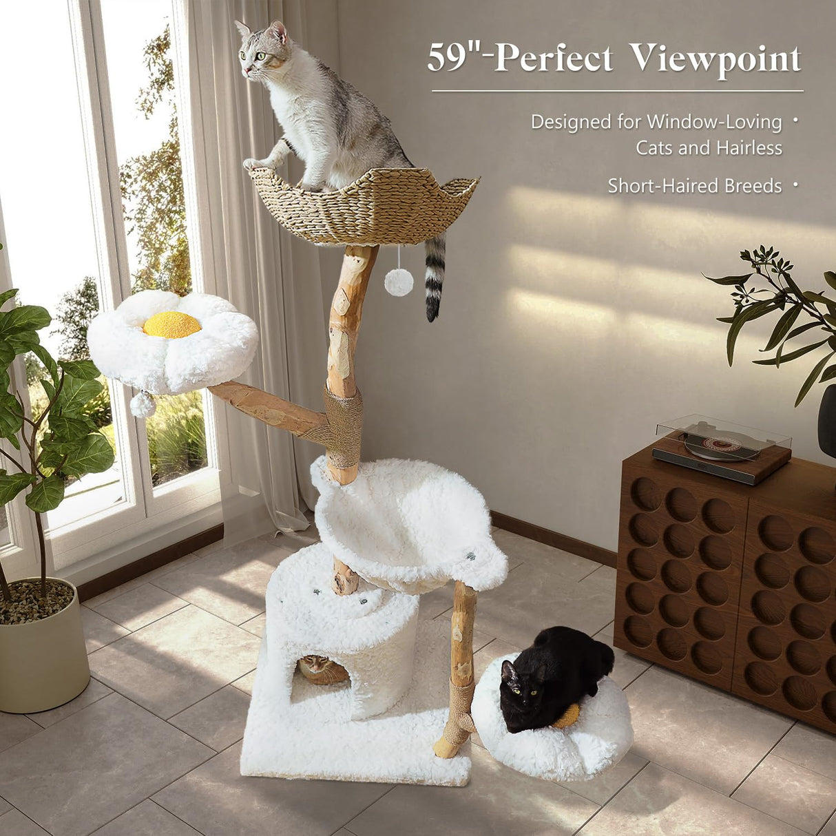 MUTTROS 59" Modern Cat Tree Tower for Large Cats w/2 Flower Perches-Natural Solid Wood Scratching Post with Real Branch-Luxury Boho Cat Furniture w/Condo & Wicker Basket Bed, Cloud White MUTTROS