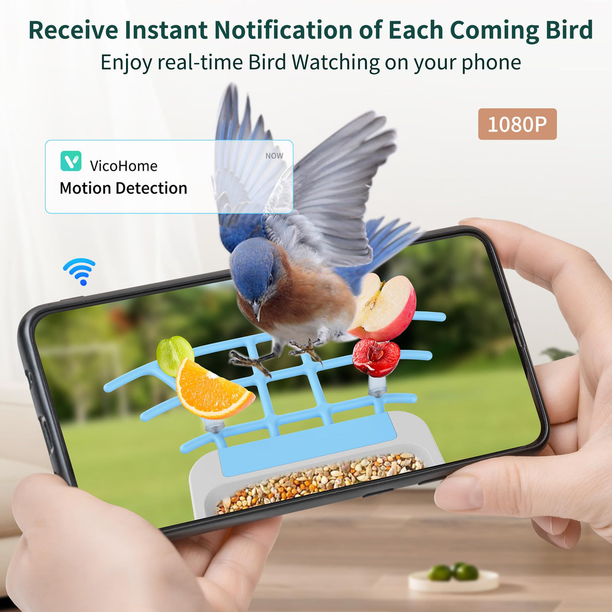 Twesync Smart Bird Feeder with Camera Solar Powered, 1080P HD AI Identify Wild Bird Feeder Camera Twesync