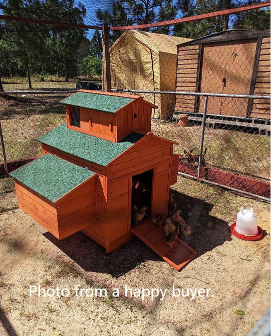 Omitree Deluxe Large Wood Chicken Coop Backyard Hen House 6-10 Chickens with 6 Nesting Box Omitree