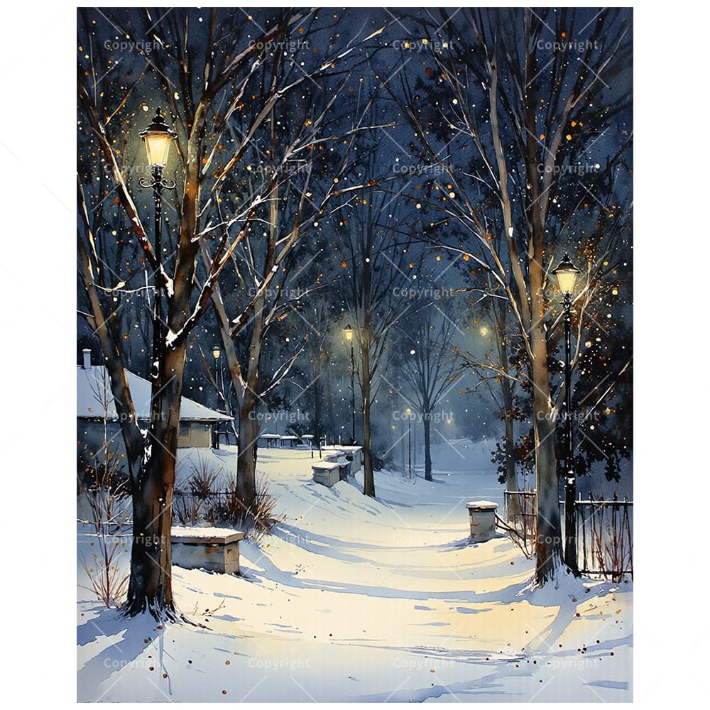 Winter Landscape Paint by Numbers Kit for Adults - DIY Snowy Park Path with Lanterns Painting on Canvas 16x20 Inches, Acrylic Paint Set, Suitable for Beginners, Art for Home Decoration or Gifts DecorFriday