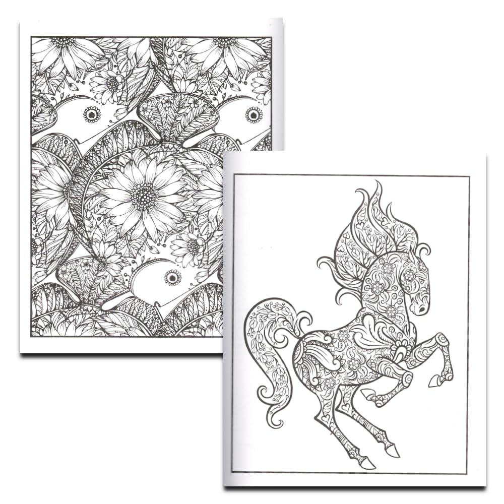 Animal Coloring Book Set - Pack of 3 Premium Adult Coloring Books Featuring Turtles, Pets, Wolves and More | Animals Collection for Adults Bendon