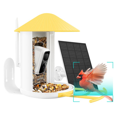 NETVUE Birdfy AI - Smart Bird Feeder with Camera with Solar Panel, Free AI Forever, Auto Capture & Identify 6000+ Bird Species, Bird Videos for