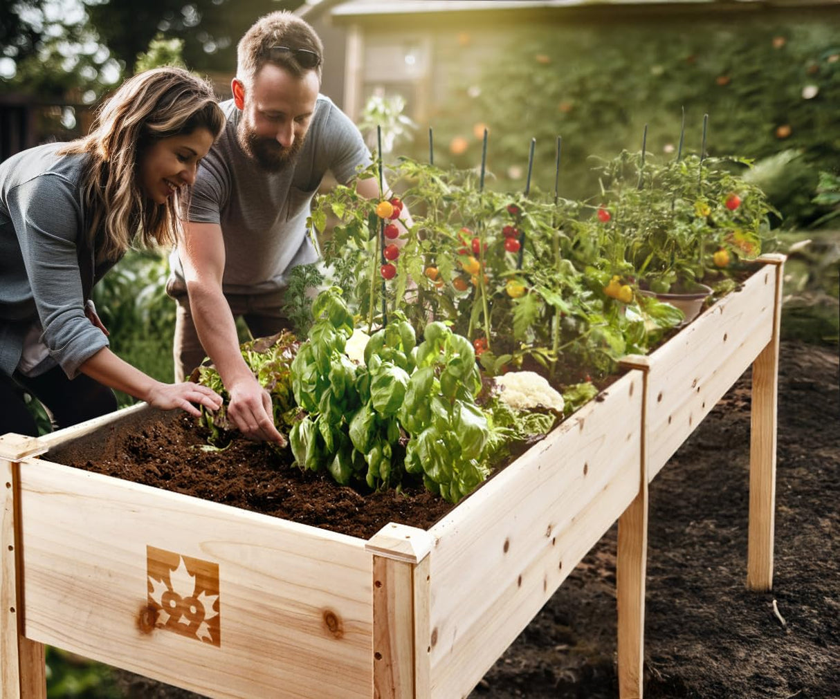 Maple99 Raised Garden Bed with Legs 72x23x30 - Natural Cedar Wood Elevated Planter Box, Veggies, Herbs - 300lb Capacity - Natural Maple99