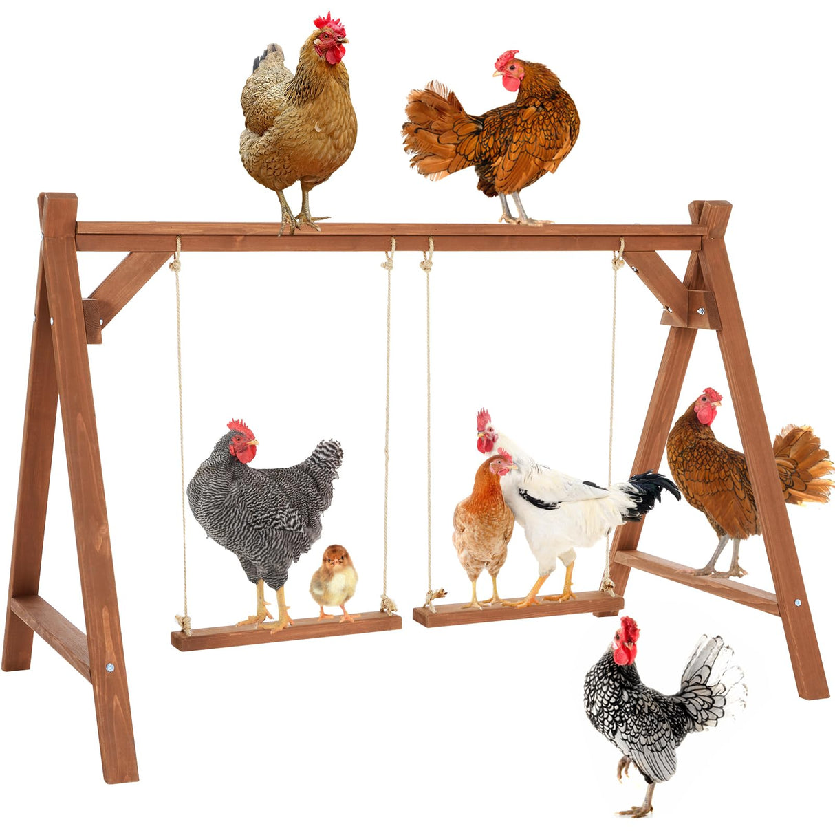 PETSFIT Chicken Roosting Bars for Hens with 2 Chicken Swings, Chicken Perch for Pet's Healthy & Play, Chicken Coop Accessories for 6-8 Chickens, Easy to Assemble&Clean Petsfit