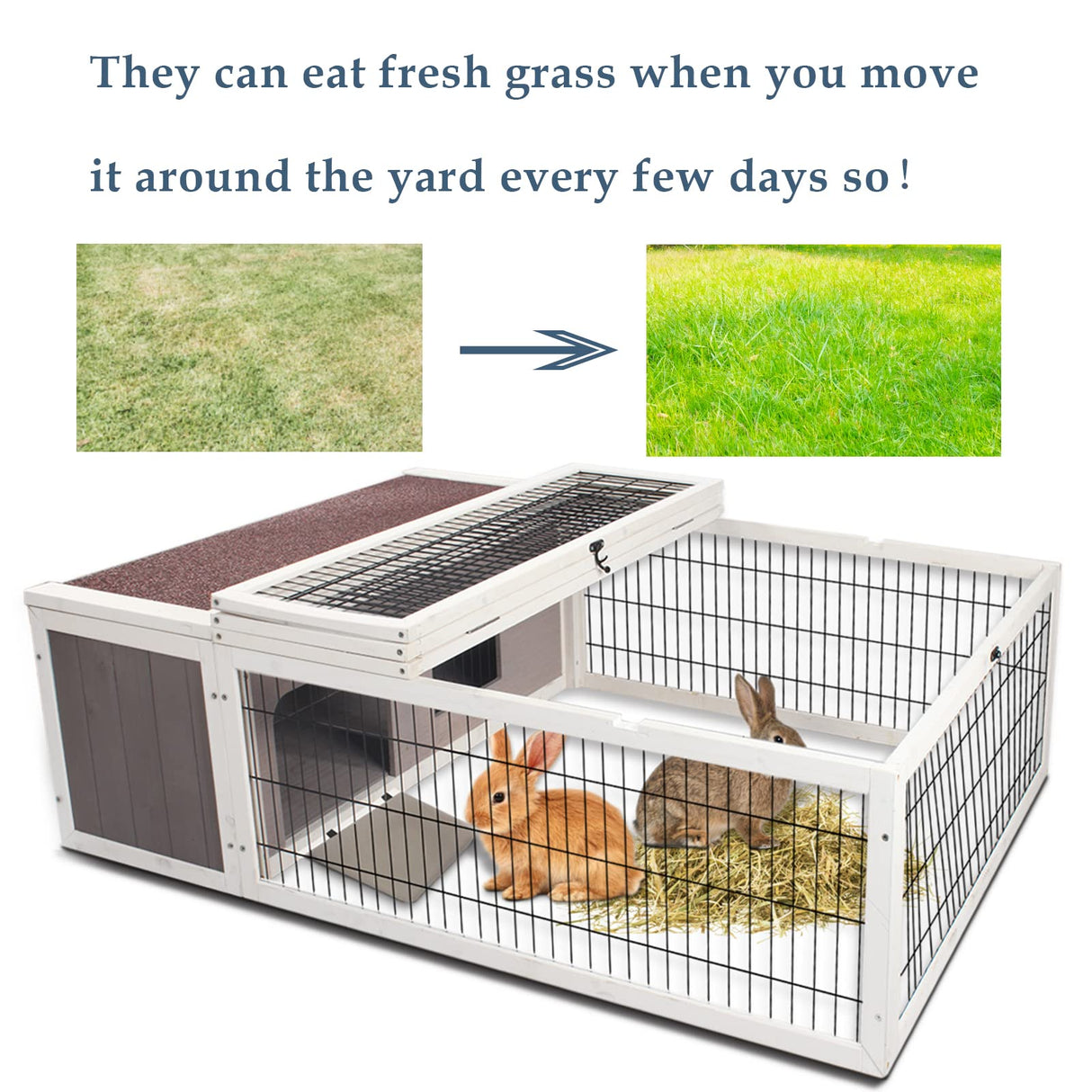 Tortoise House Habitat Wooden, Chicken Coop with Run Rabbit Hutch Small Animal Hutch Enclosure Indoor/Outdoor-Grey + White Trim Rockever