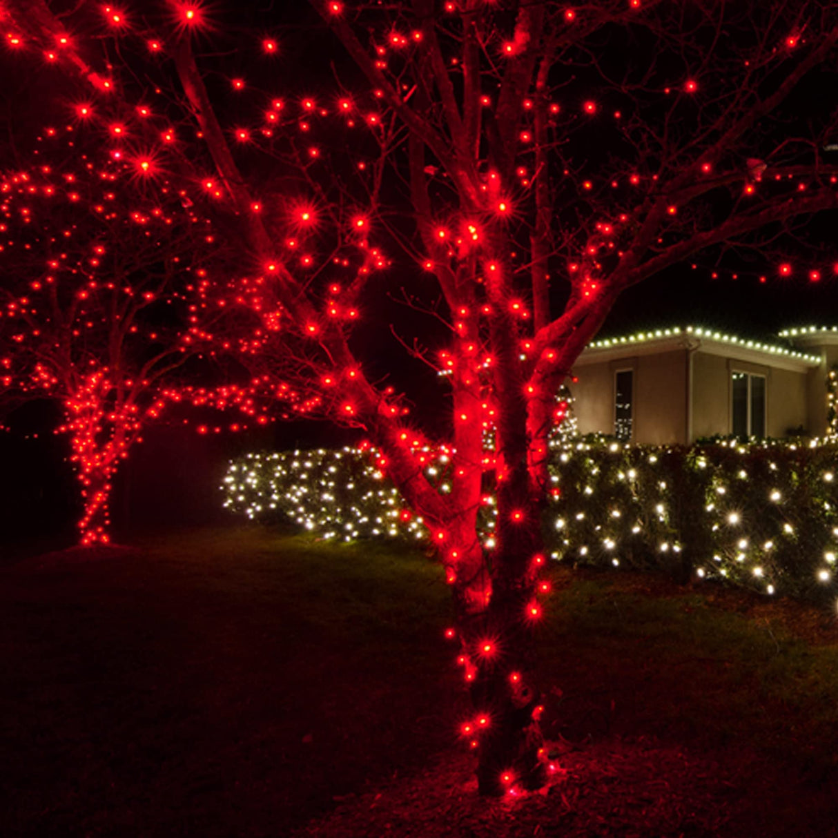 Uptotop Christmas 100 Count String Light, 20FT Plug in Waterproof String Light Decorations for Party Carnival Supplies, Outdoor Yard Garden Decor (RED) Uptotop