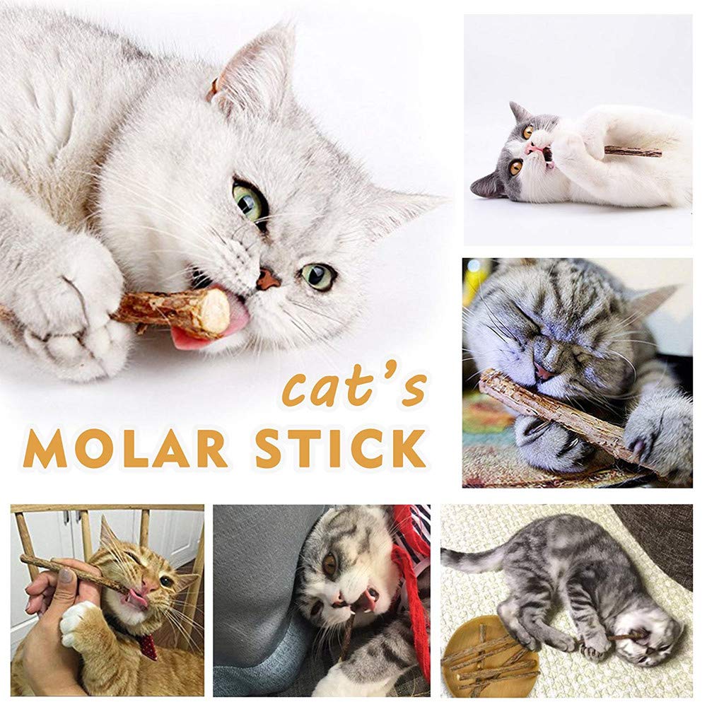 WoLover Silvervine Sticks for Cats, Natural Catnip Matatabi Chew Sticks Teeth Molar Chew Toys for Cat Kitten Kitty (at Least 12 PCS) WoLover