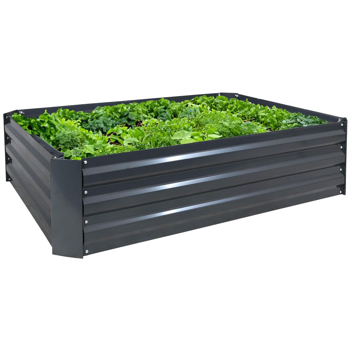 Sunnydaze 11.75" H Raised Metal Garden Bed - Galvanized Raised Garden Bed Outdoor for Vegetables and Flowers - Dark Gray - 4' x 3' Rectangle Sunnydaze