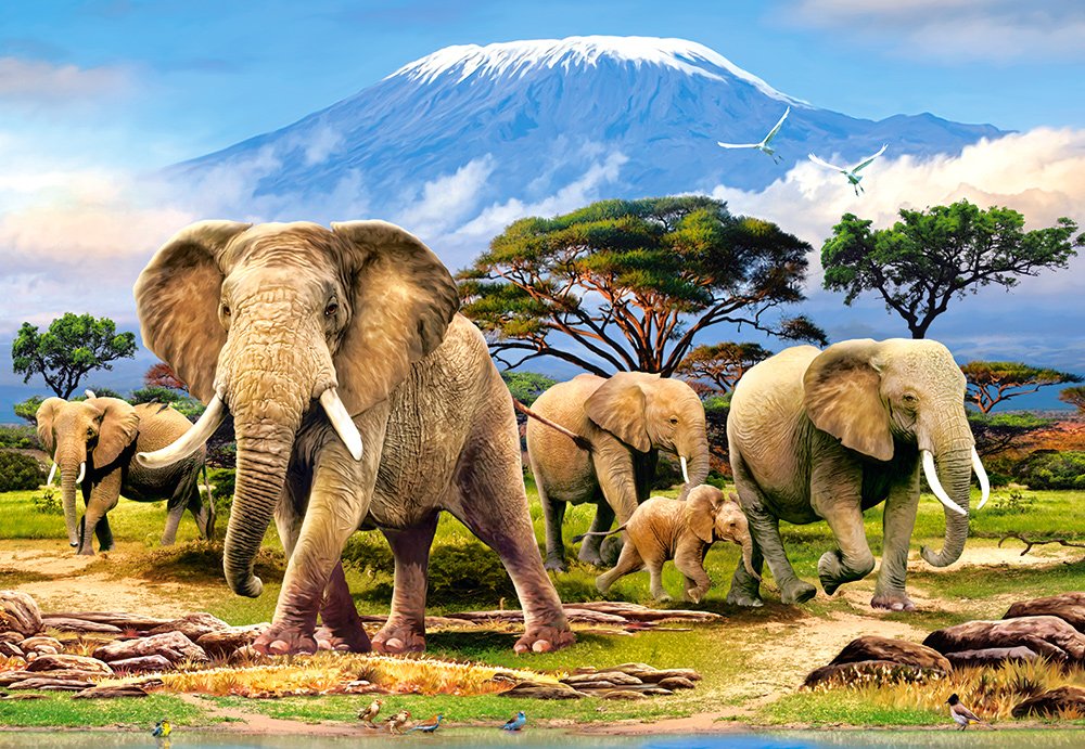 Castorland C-103188 Hobby Panoramic Kilimanjaro Morning Jigsaw Puzzle, 1000 Pieces Set, Multi Castorland