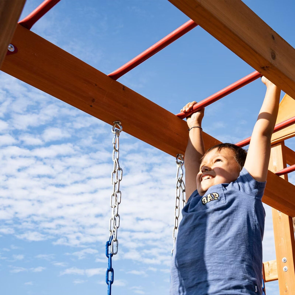 Dolphin Playground Monkey Bars for Backyard, Wooden Swing Sets for Backyard with Trapeze Swing Bar and 2 Belt Swings, Outdoor Monkey Bars for Kids, Outdoor Playset, Kids Outdoor Play Equipment DOLPHIN PLAYGROUND T