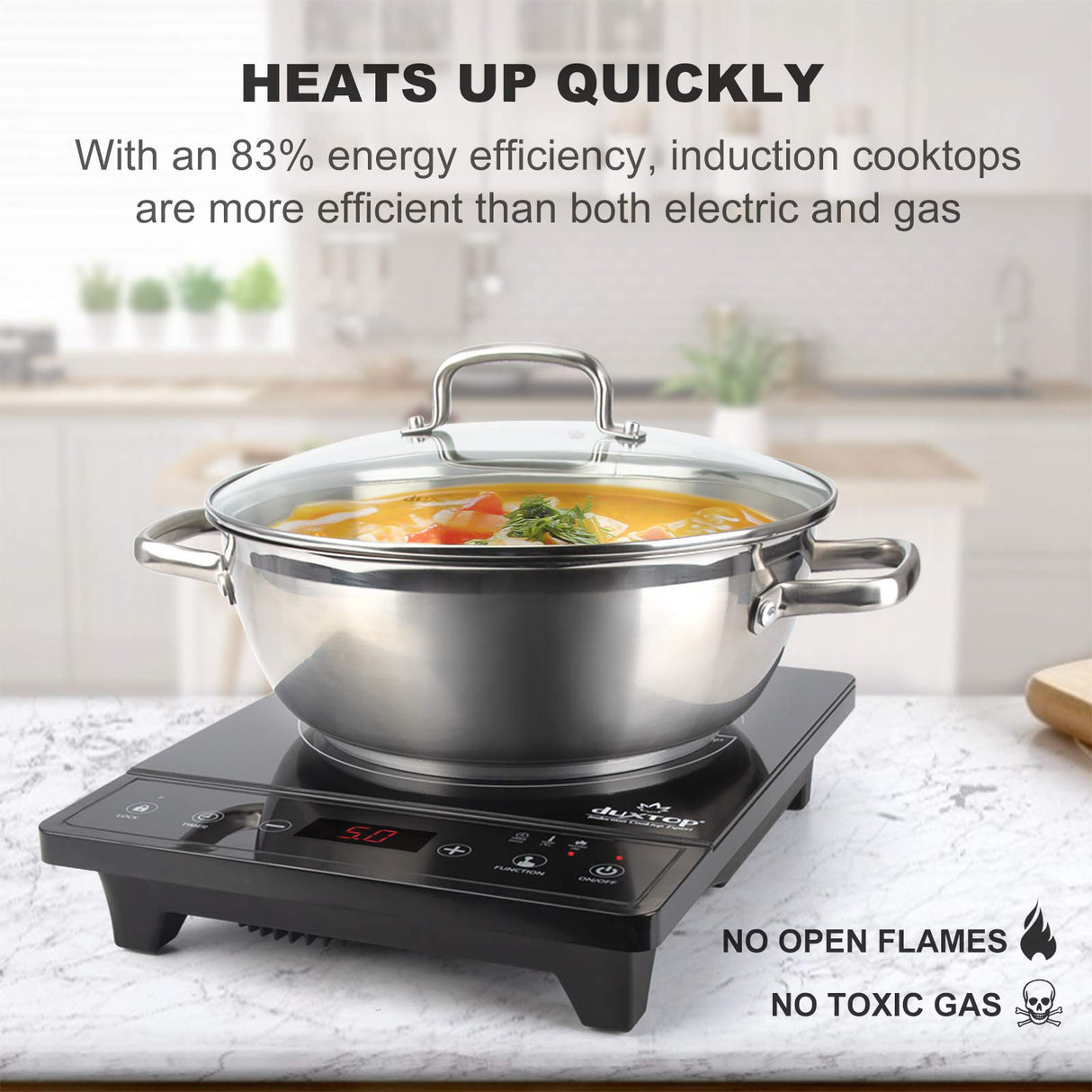 Duxtop Portable Induction Cooktop, Countertop Burner, Induction Burner with Timer and Sensor Touch, 1800W 8500ST E210C2 duxtop