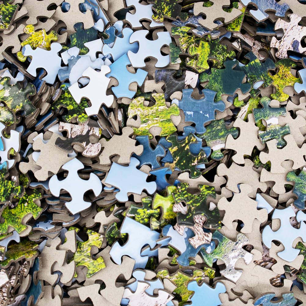 BEDUKE Jigsaw Puzzles for Adults 1000 Pieces Glacier National Park 1000 Piece Puzzle Thick Sturdy Precise Interlocking Age 14+ Family Game BEDUKE