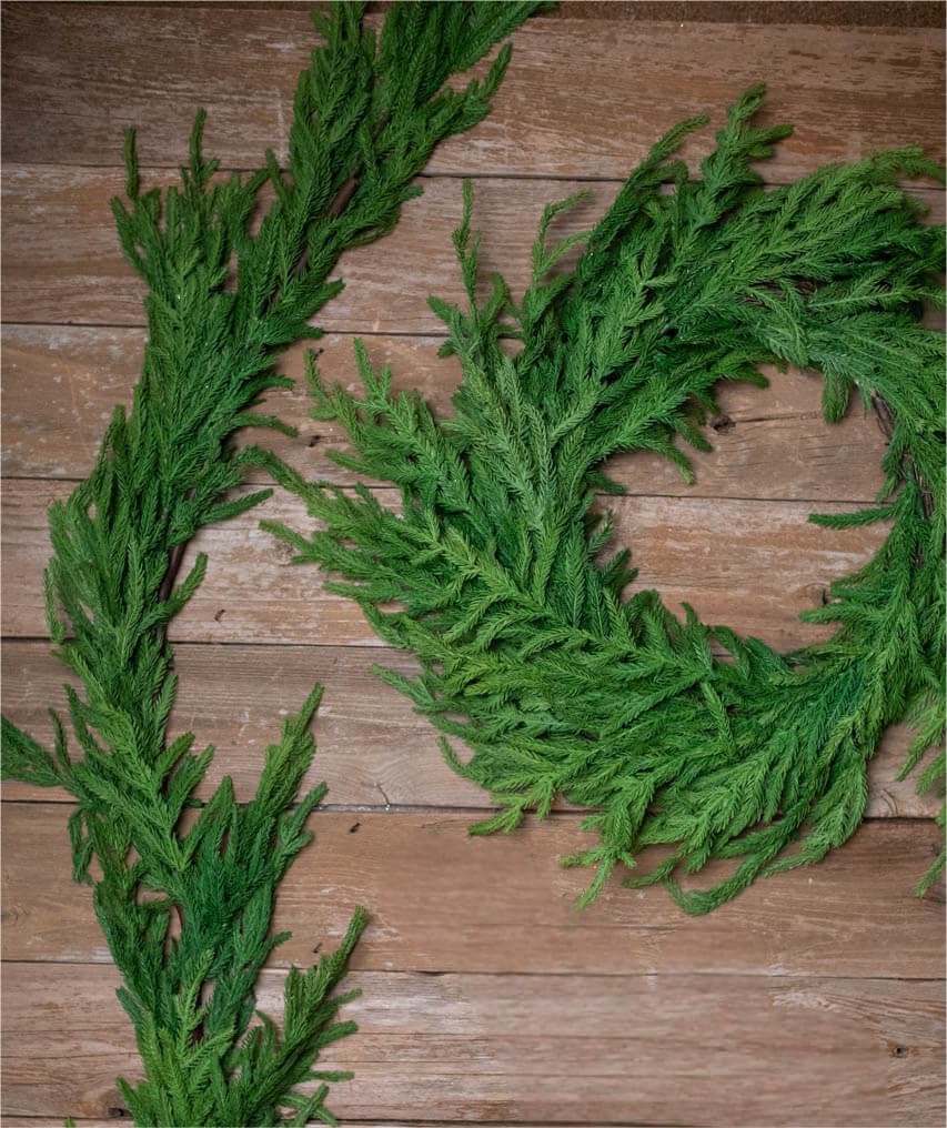 ENVEN Real Touch Norfolk Pine Christmas Garland and Wreath Set, 24IN Green Wreath and 9FT Christmas Garland Artificial Faux Greenery Norfolk Pine for Holiday Indoor Mantle Decor ENVEN