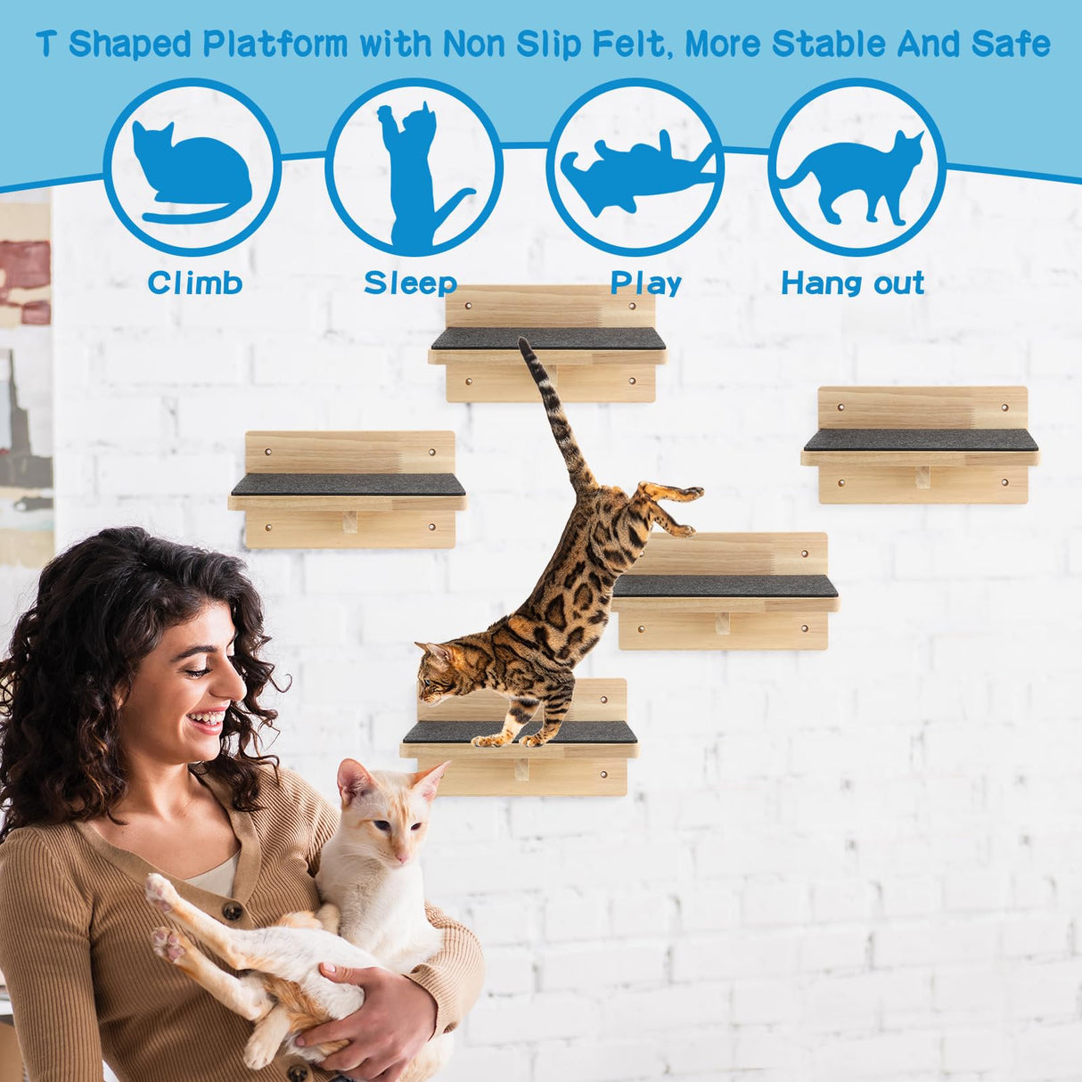 Lenwen Set of 6 Cat Wall Steps Shelf Shelves Wood Cat Climbing Shelves for Cat Mounted Furniture Cat Wall Bed Wood Cat Stairs with Non Slip Felt for Springboard Playing(Classic) Lenwen