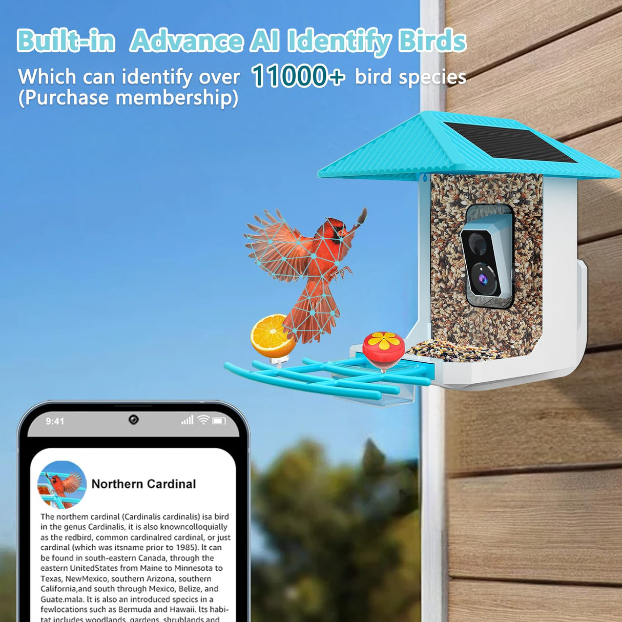 2.5K Smart Bird Feeder with Camera, Birds Watching Camera with AI Identify Bird Species, Outdoor Birds Feeder House with Solar Panel for Bird Lovers (Blue) Tutoview