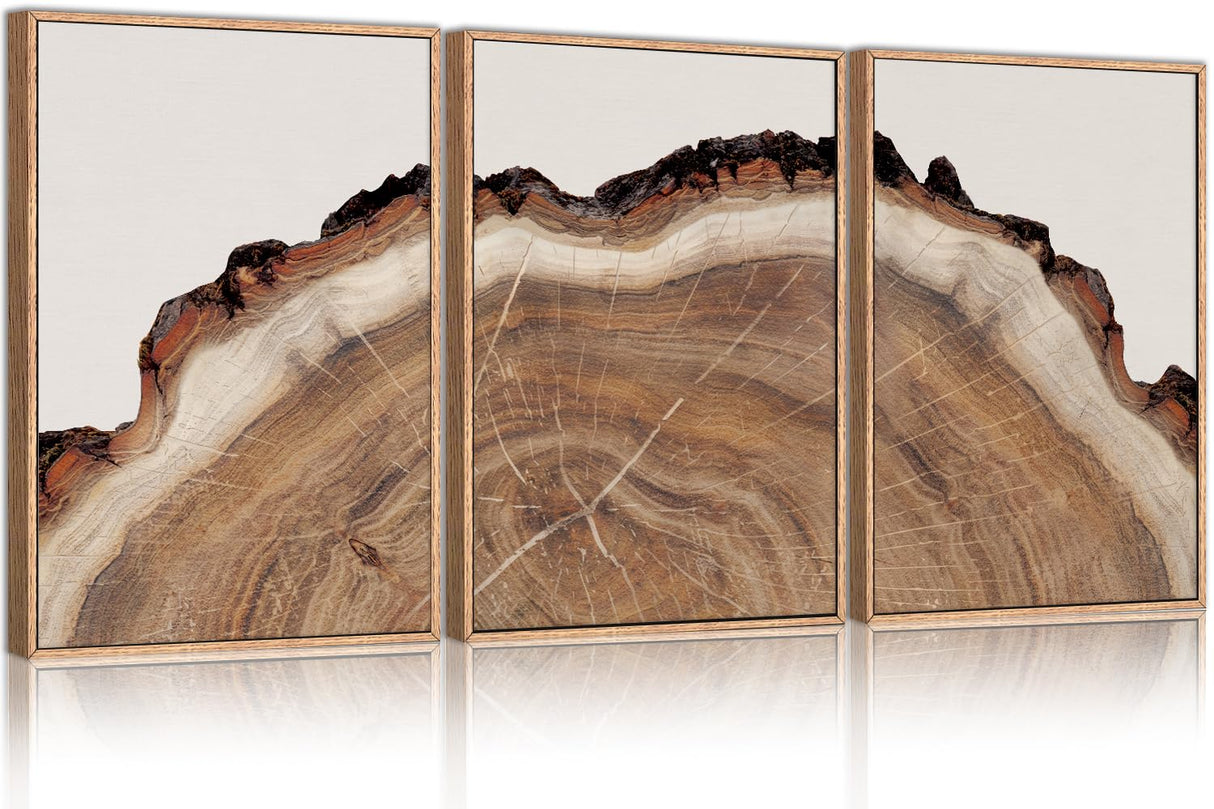 HPINUB Framed Tree Rings Wood Wall Art Set, Modern Beige Wood Stump Wall Decor, Abstract Black and Gray Tree Spiral Wall Painting,Nature-Inspired Art Print for Living Room, Bedroom, Dining Room, Office-24"x36"x3 HPNIUB