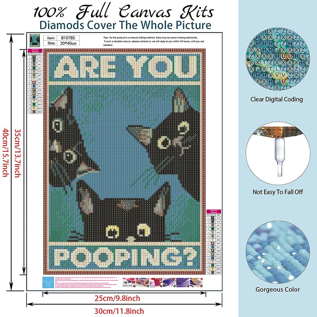 SOTYIOO Diamond Painting Kits for Adults. Dragon Diamond Art Full Drill Round Gem Art 5D Diamond Dots Suitable Home Wall Decor 12x16inch SOTYIOO