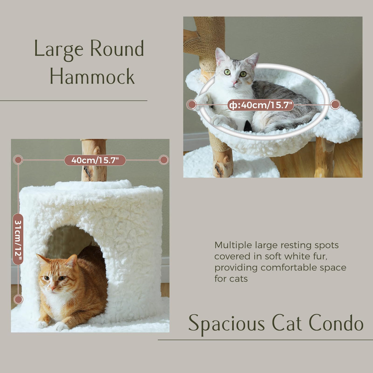 PAWZ Road Cat Tree for Indoor Cats Large Adults, 59 Inches Modern Cat Tower with Large Basket and Hammock, Natural Solid Wood, Luxury Condo & Dual Perches, Modern Cat Furniture for Big Cats, White PAWZ Road