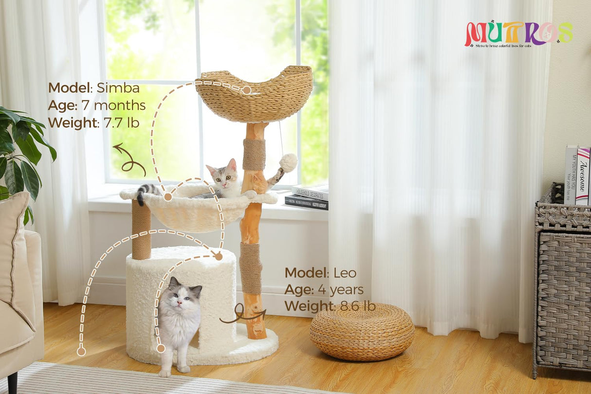 MUTTROS Modern Cat Tree for Large Cats, Wood Cat Tower for Indoor Cats, Real Branch Luxury Cat Furniture with Super Large Cozy Condo and Hammock & Scratching Post, Top Basket, White MUTTROS