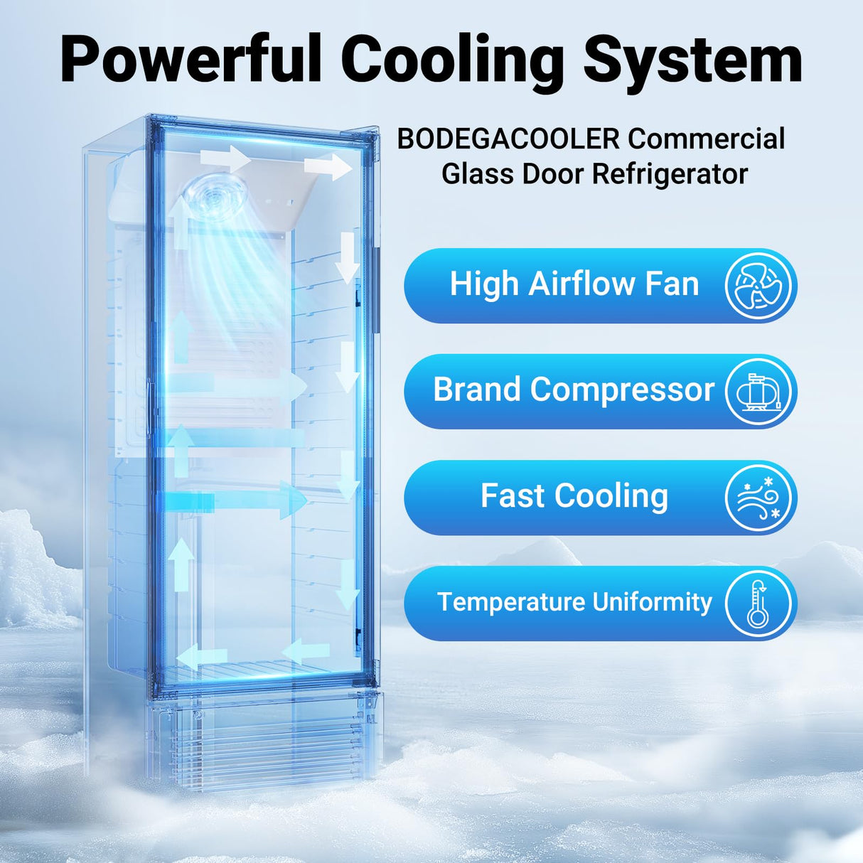 BODEGACOOLER Beverage Refrigerator and Cooler, 10.2 Cu.Ft Commercial Beverage Refrigerator, Commercial Merchandiser Refrigerator For Drinks, Commercial Display Refrigerator with Glass Door Fridge. BODEGA