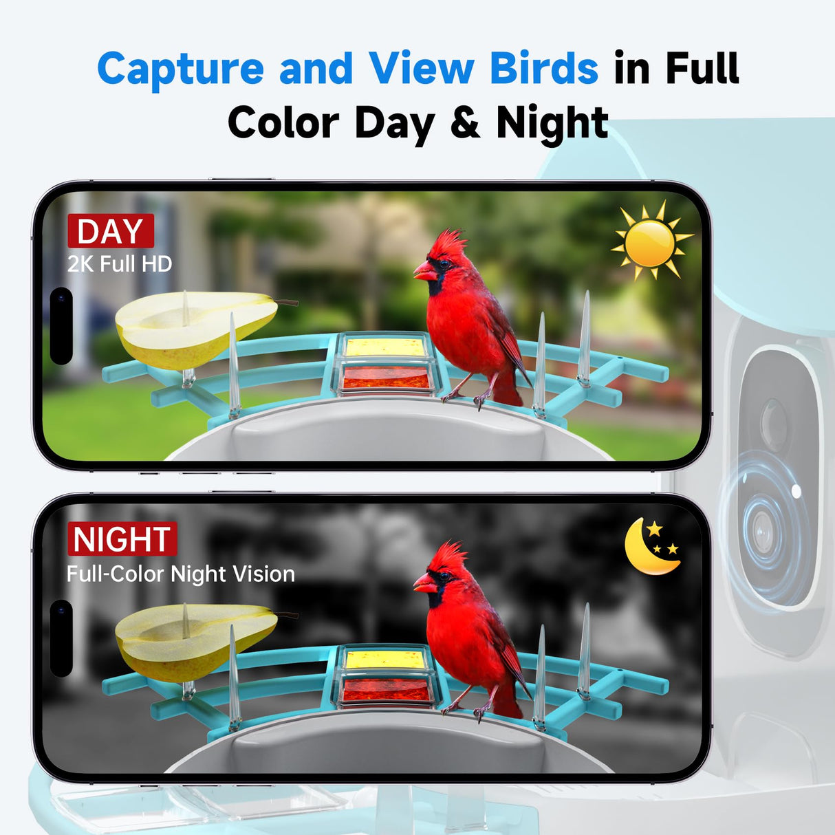 DOCOON Smart Bird Feeder with Camera, 2K HD AI Identify Birds Species, Bird Watching Camera with Solar Panel, Auto Capture Bird Videos & Instant Notifications, Ideal Present for Bird Lover, Blue DOCOON