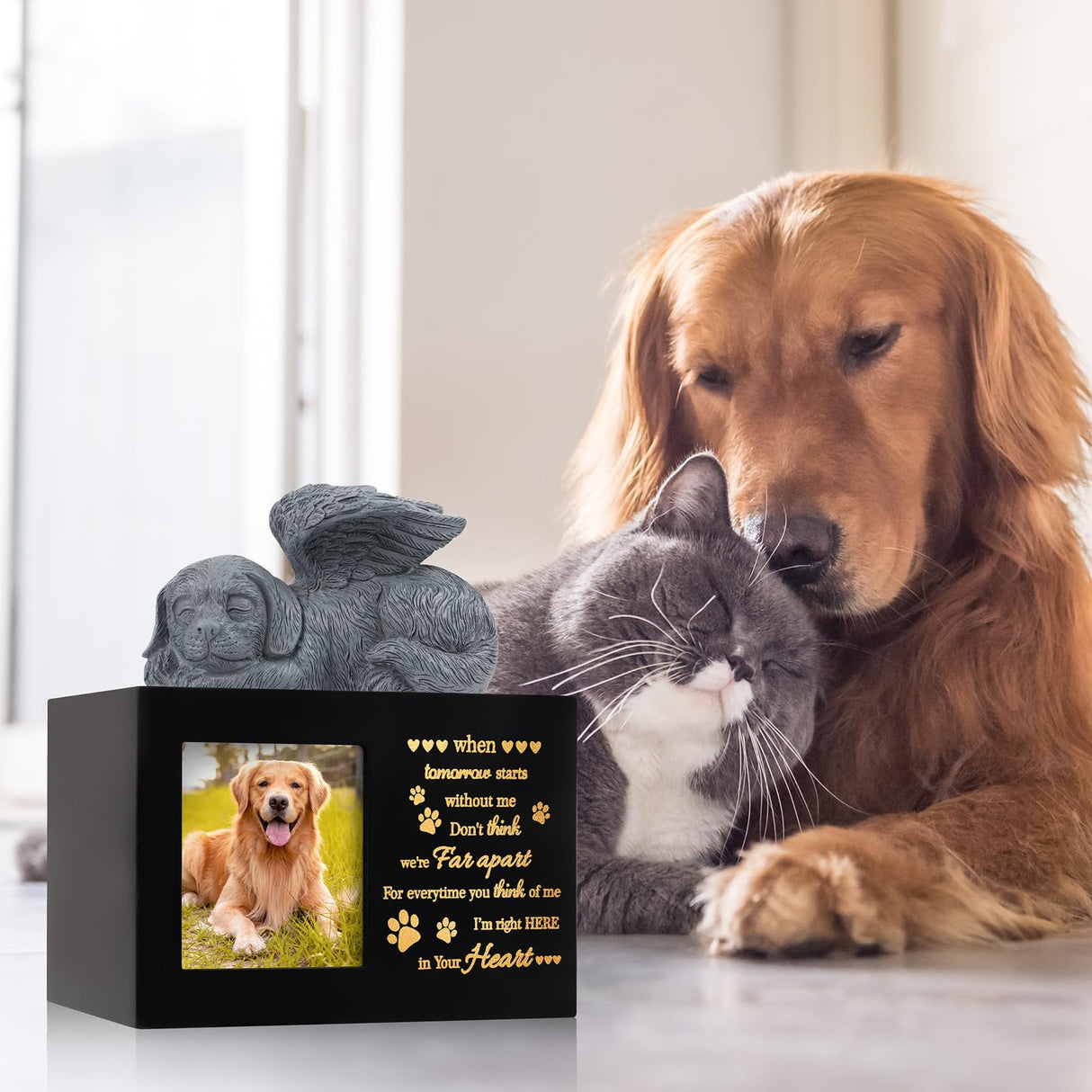 LPREUTWN Pet Urns for Ashes, Large Wooden Pet Urns for Dog or Cat Ashes with Dog Angel, Memorial Keepsake Memory Box with Photo Frame, Loss Pet Sympathy Remembrance Gift (Black) LPREUTWN