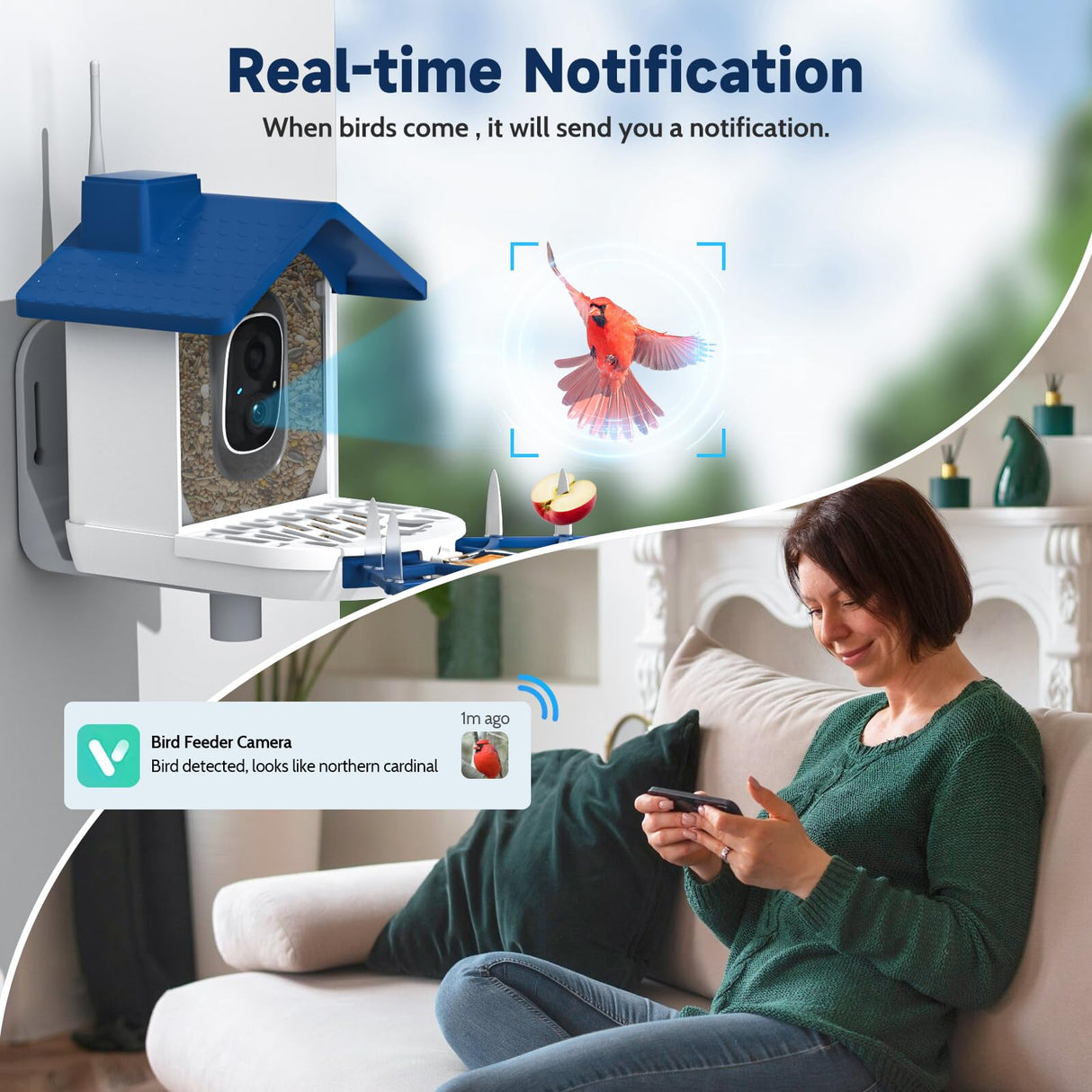 Byranke Smart Bird Feeder with Camera, Bird House with Camera Solar Panel AI Identification Bird Species, Bird Video & Motion Detection, Bird Lover Ideal Gift. BYRANKE