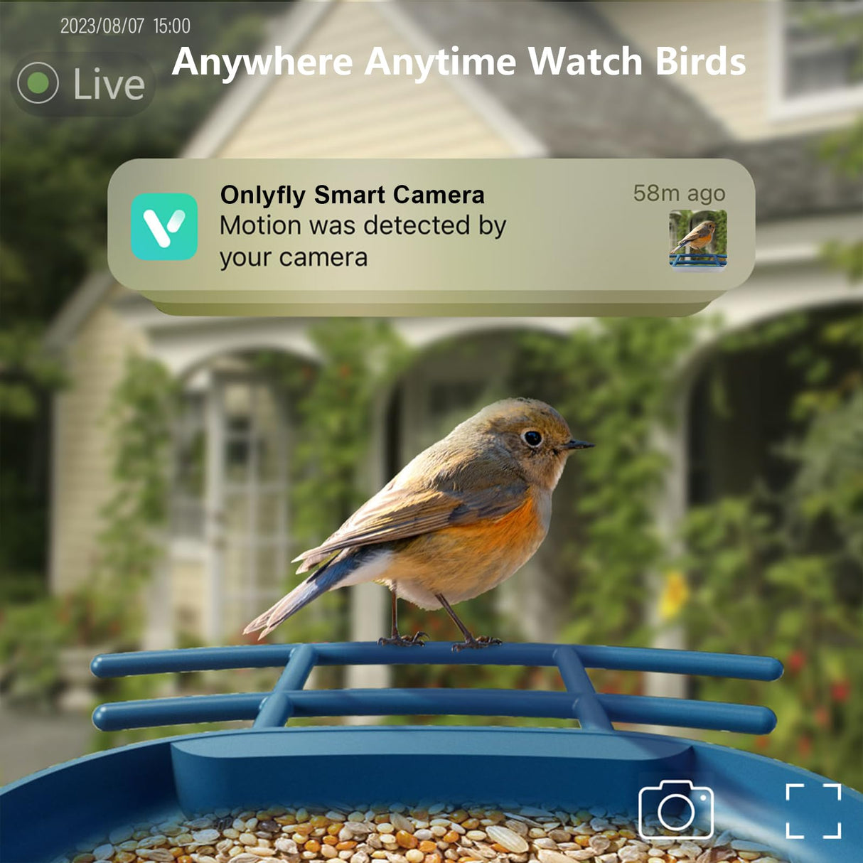 OnlyFly Bird Feeder with Camera - Smart Bird Feeder with Camera 1080P HD for Bird Watching, AI Recognition Birdhouse Camera, Solar Powered Video Bird onlyfly