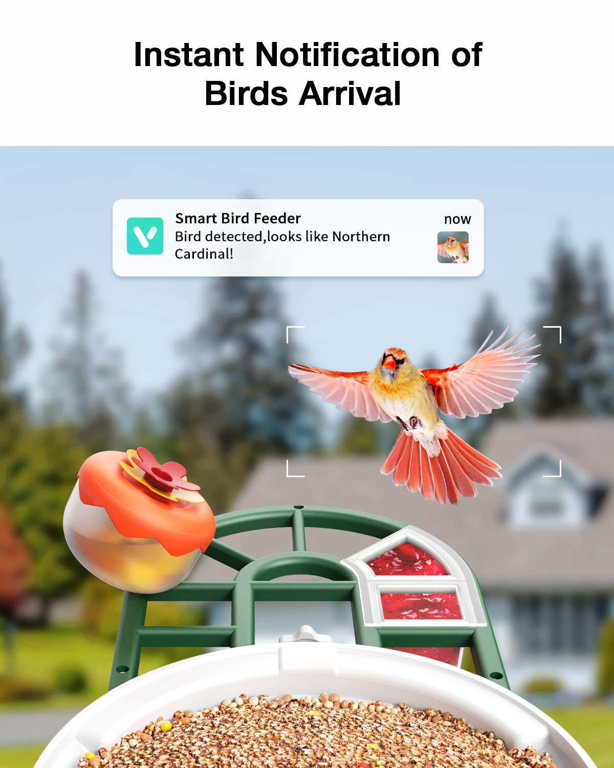 HARYMOR Bird Feeder with Camera Supports AI Identify Bird Species, 2K Live Video, Bird Arrival Alert, Solar Powered, Bird House Camera Wireless Outdoor with Mini Hummingbird Feeder for Watching Birds HARYMOR