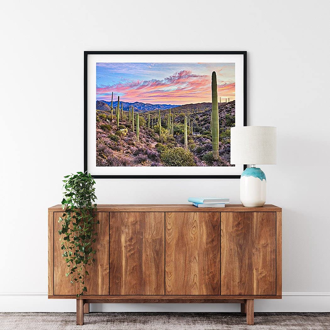 Diamond Painting Cactus Sunrise in Sonoran Desert Near Phoenix Arizona for Adult Painting Kits Diamond Art Perfect for Home Wall Decor 12"x16" Handmade Arting