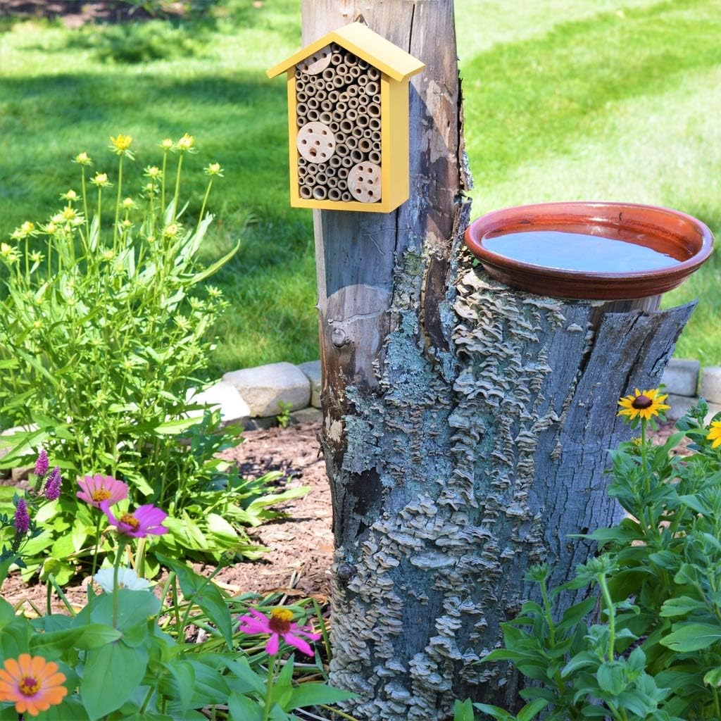 Nature's Way Bird Products PWH1-A Bee House, Yellow Nature's Way
