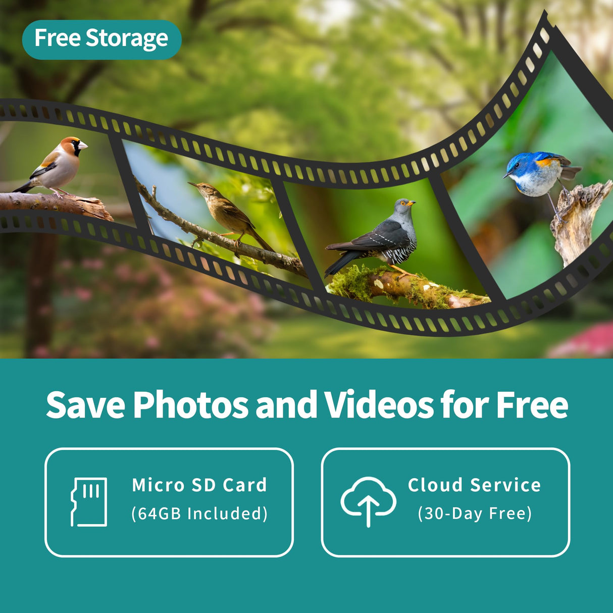 OIRHNL Smart Bird Feeder with Camera,AI Identify Birdwatching Camera with Solar Powered-Motion Activated & Watching HD Bird Video,Transparent OIRHNL