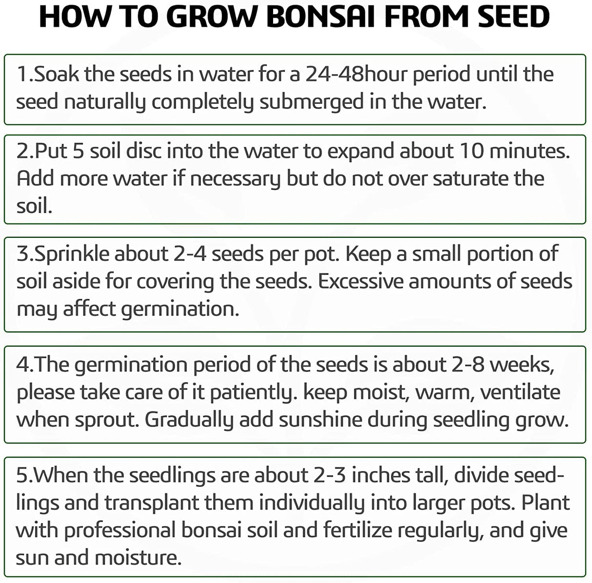 4 Bonsai Tree Seeds with Complete Growing Kit & Wooden Planter Box, Indoor Bonsai Tree Starter Kit, Great Potted Plants DIY Gift for Adults Meekear