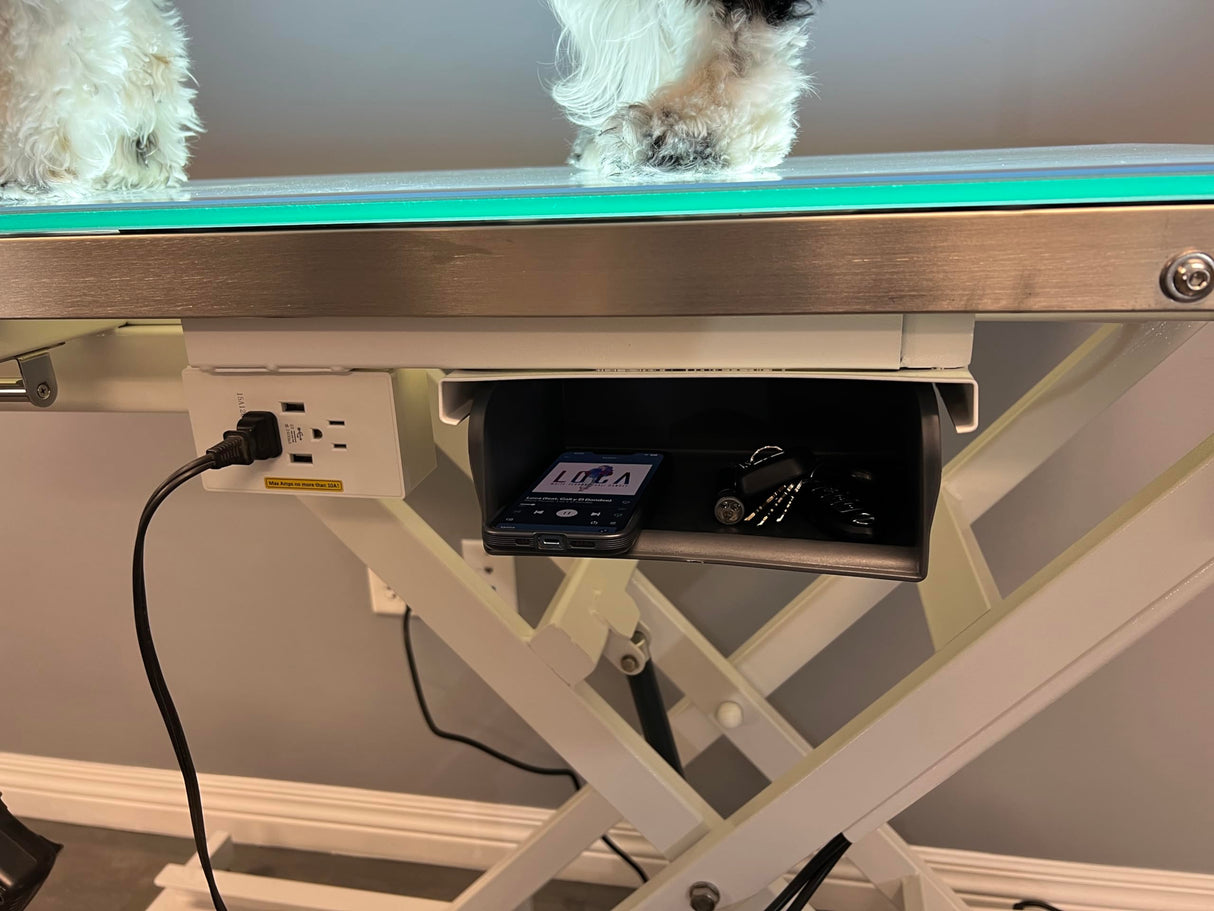 Cove Products LED Lit Master Groomer Electric Lift Grooming Table (Basic Package) Cove Products