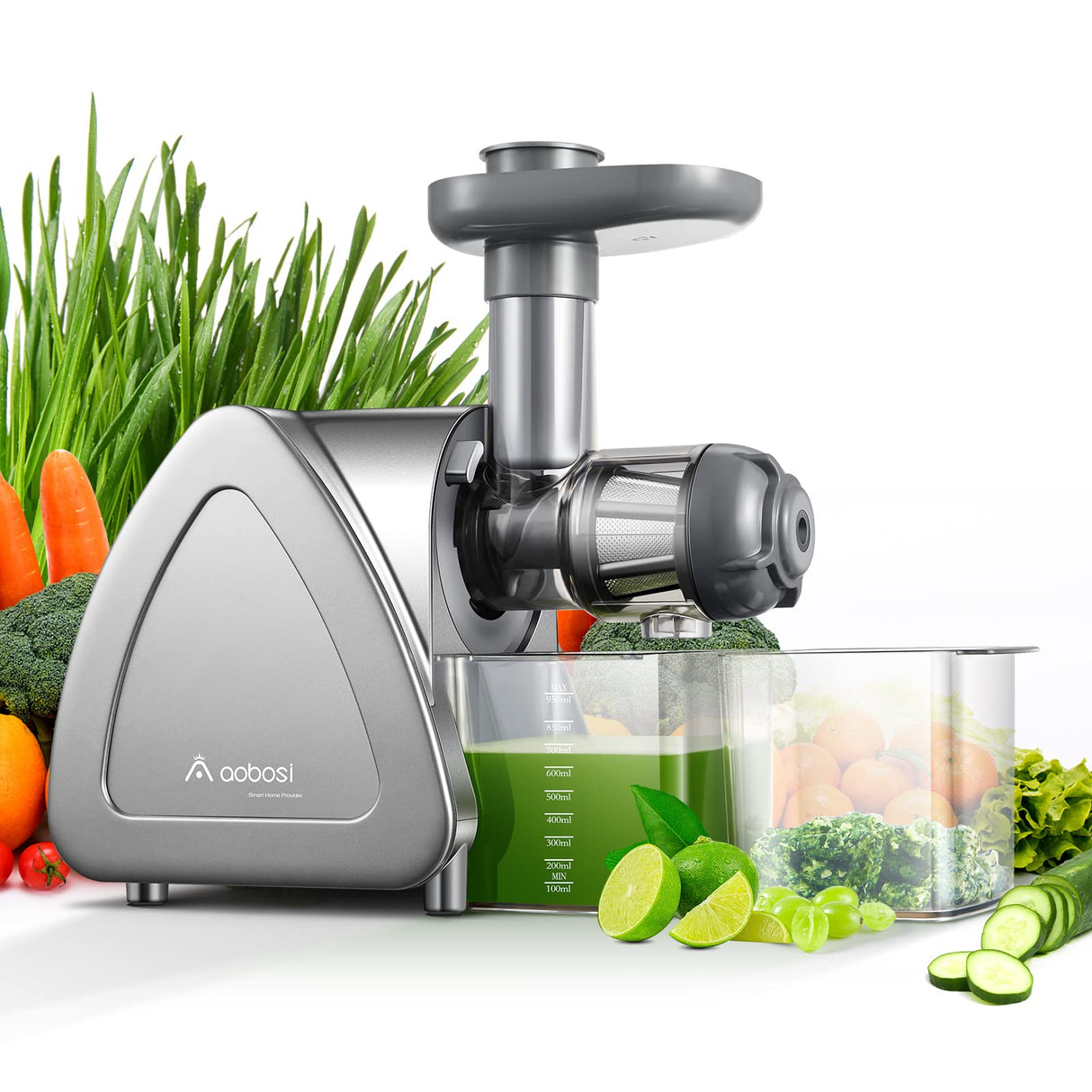 Cold Press Juicer, Aobosi Slow Masticating Juicer Machines with Reverse Function, Quiet Motor, High Juice Yield with Juice Jug & Brush for Cleaning, Gray AAOBOSI