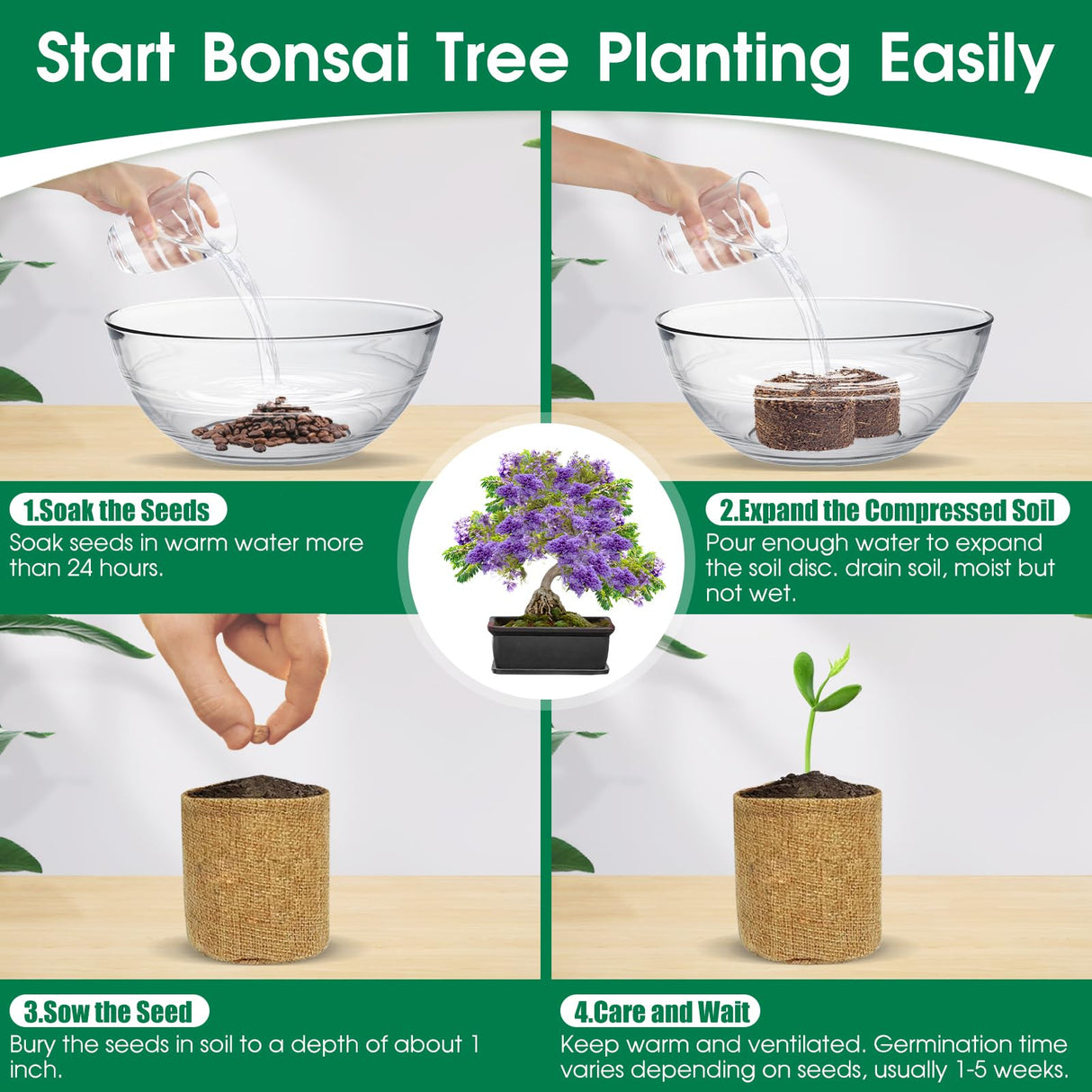 RiRifue Bonsai Tree Seed Starter Kit, with 4 Pcs Mini Garden Bonsai Tool Kit, 5 Tree Seeds Variety Pack for Planting, Creative Gardening Gifts for Plant Lovers Women Men Kid RiRifue